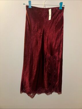 J crew Gwenyth lace trim skirt XXS NWT